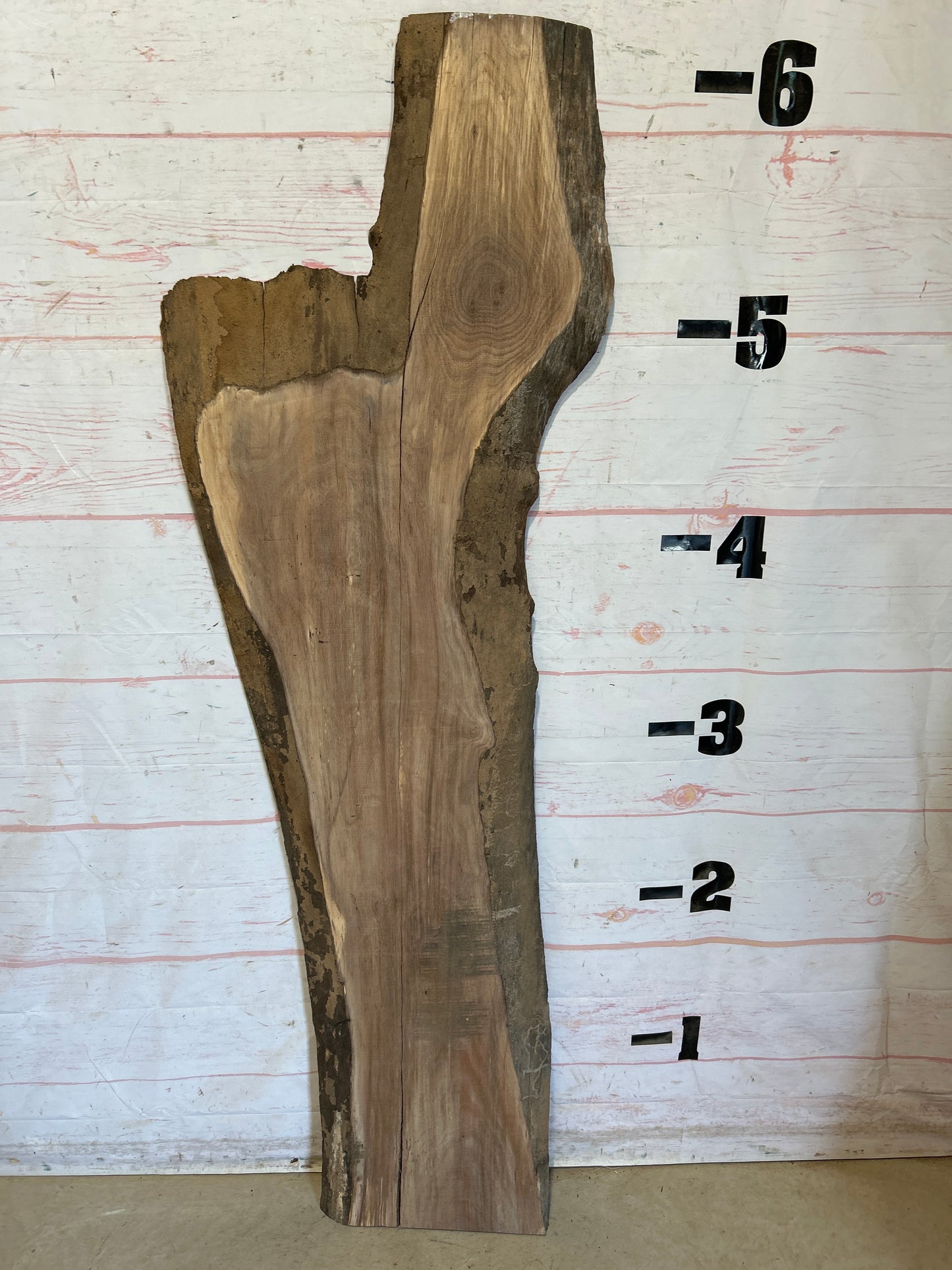 Live Edge Walnut Sku#28394F-16