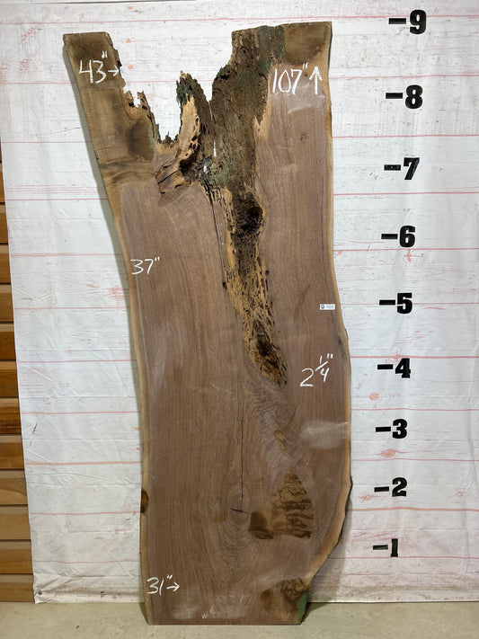 Live Edge Walnut Sku#27120-62