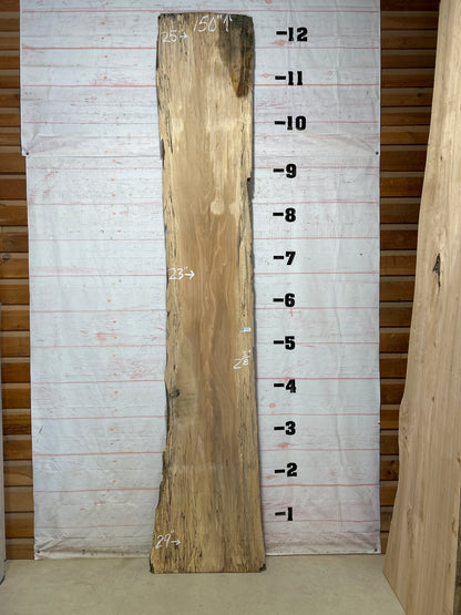 Live Edge Spalted Sycamore Sku#27460-68