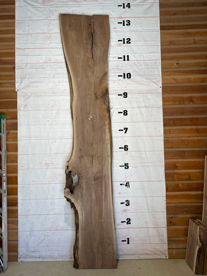 Live Edge Walnut Sku#28672-87