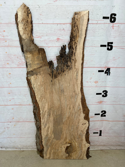 Live Edge Ambrosia Maple Sku#27258-23