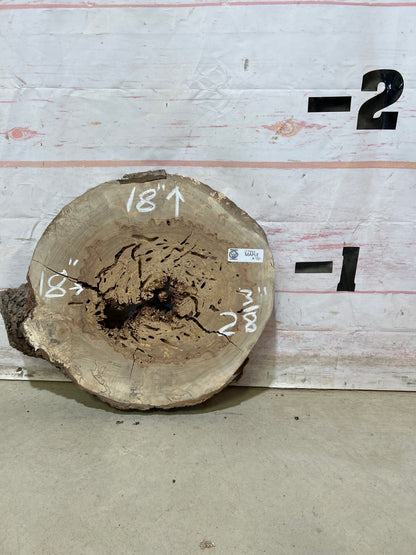 Live Edge Maple Cookie Sku#27884M