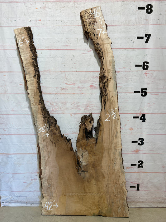 Live Edge Ambrosia Maple Sku#27256E-40