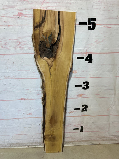 Live Edge Mulberry Sku#28360D-8