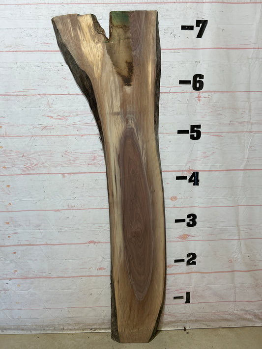 Live Edge Walnut Sku#27864M-23
