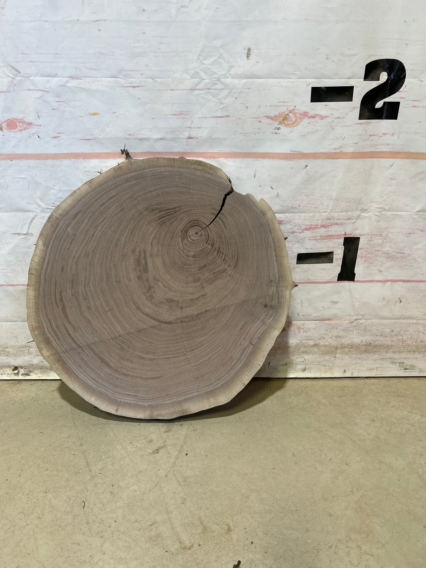 Live Edge Walnut Cookie Sku#27991M