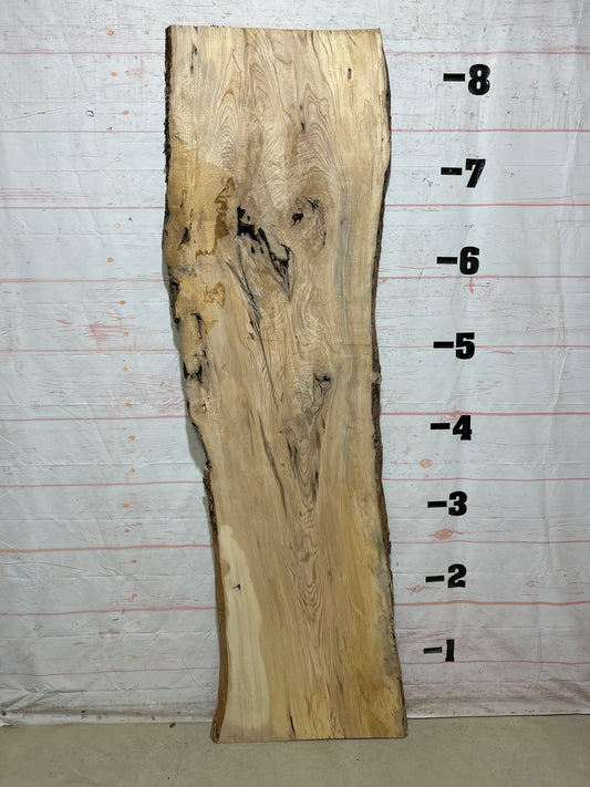 Live Edge Ash Sku#27609-41