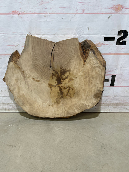 Live Edge White Oak Cookie Sku#28986M