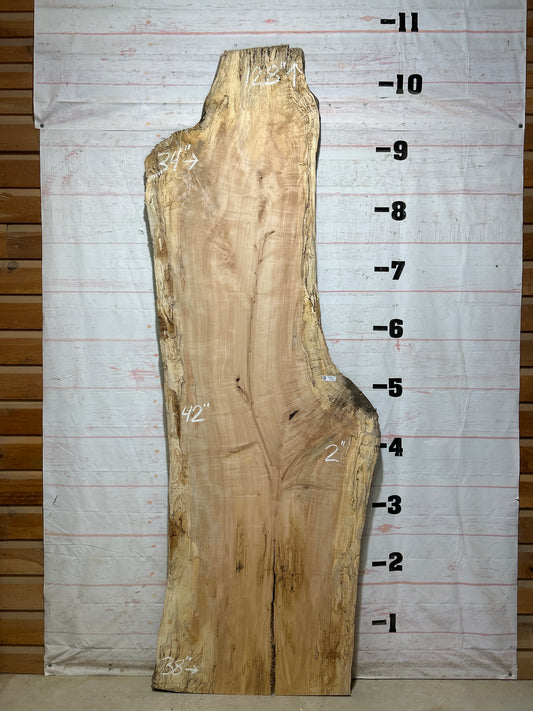 Live Edge Maple Sku#28100-68