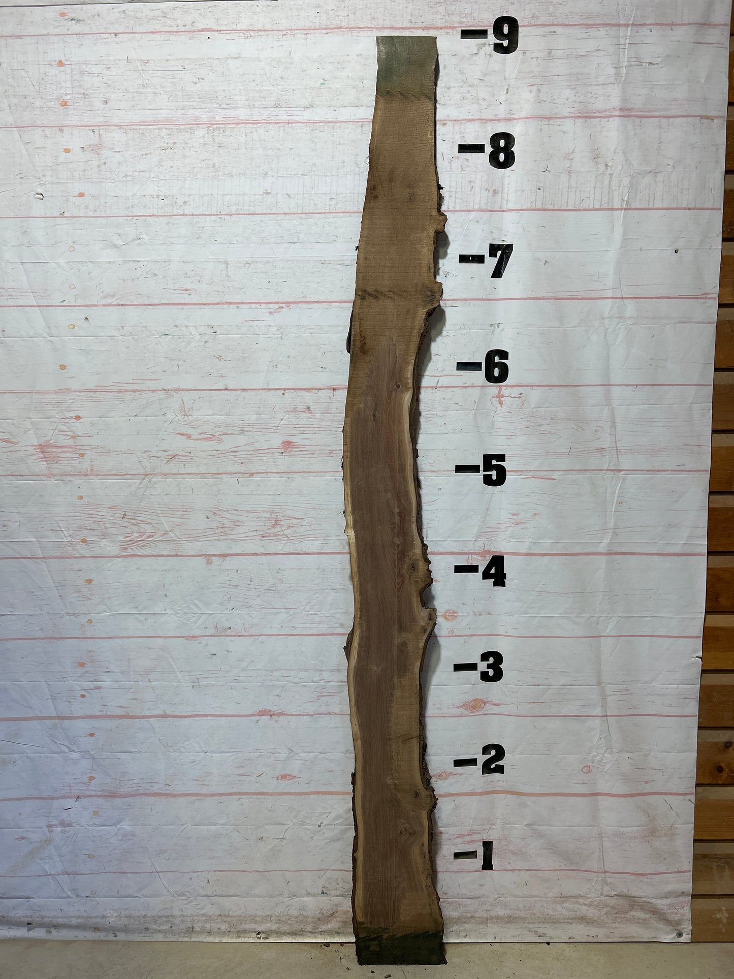 Live Edge Walnut Sku#28005M-9