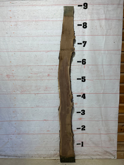 Live Edge Walnut Sku#28005M-9