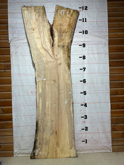 Live Edge Spalted Maple Sku#27301- 90