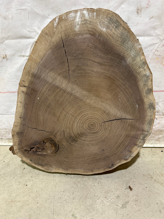 Live Edge Walnut Cookie Sku#28166M