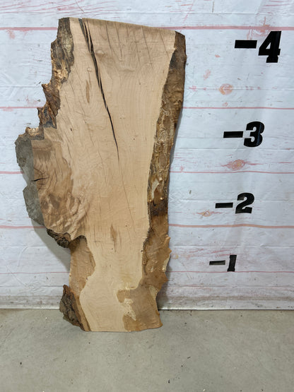 Live Edge Maple Sku#28259E-13