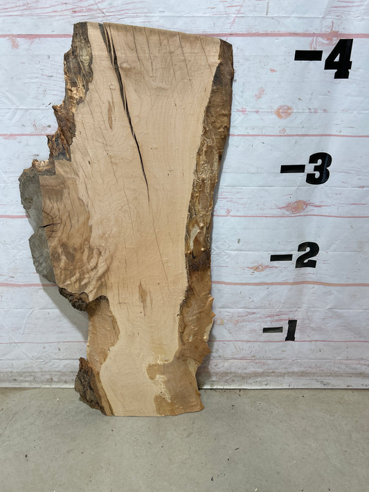 Live Edge Maple Sku#28259E-13