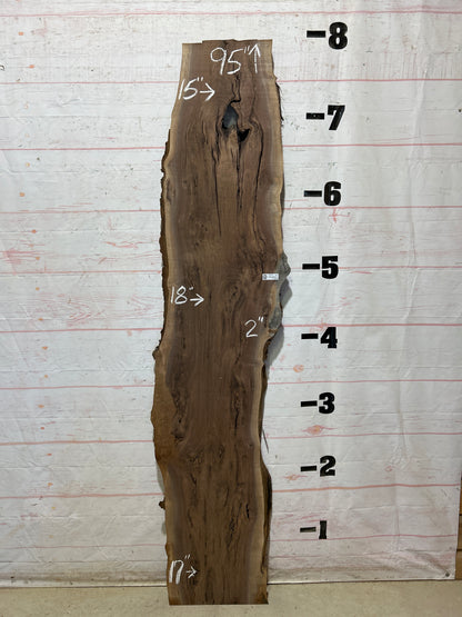 Live Edge Walnut Sku#28104C-22