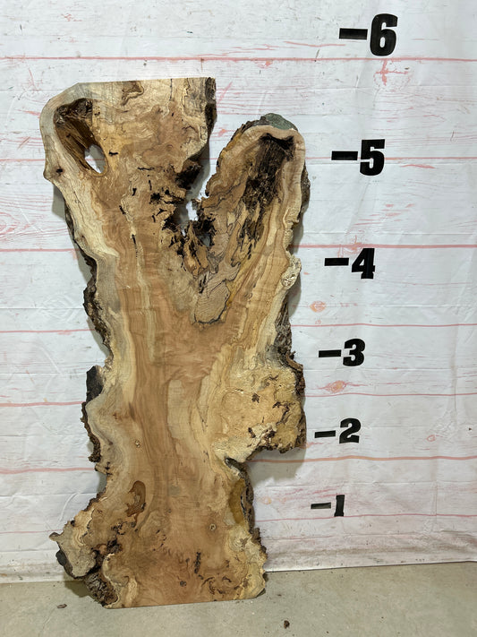 Live Edge Maple Sku#27412E-21