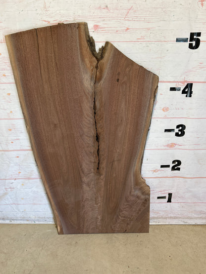 Live Edge Walnut Sku#28401N-31