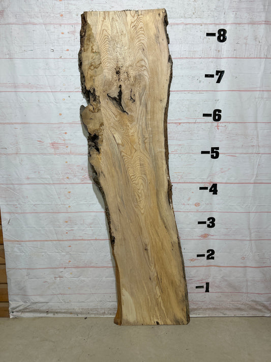 Live Edge Ash Sku#27610-37