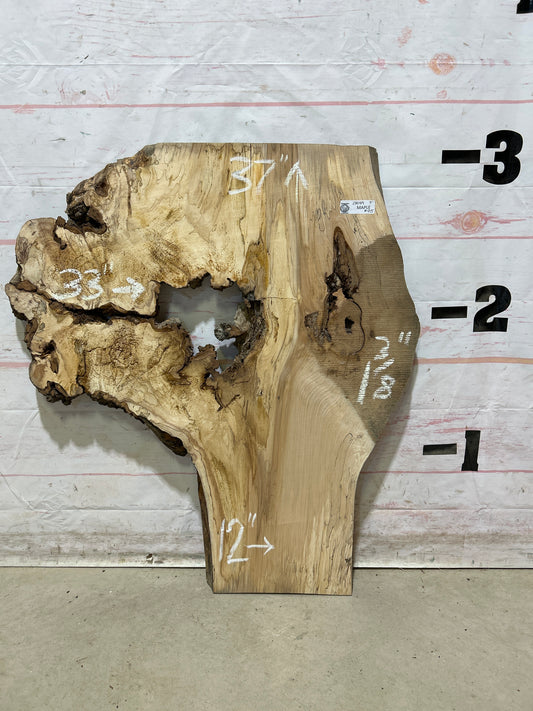 Live Edge Maple Sku#28089M-9