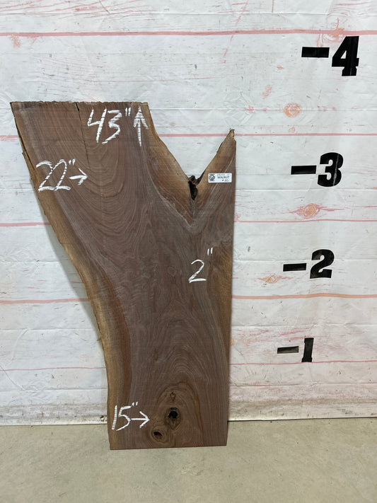 Live Edge Walnut Sku#28272M-11