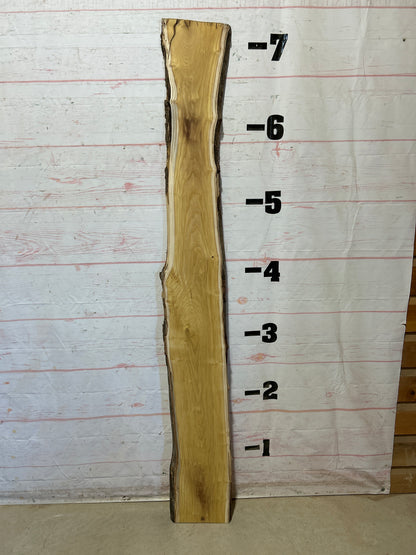 Live Edge Mulberry Sku#28352D-8