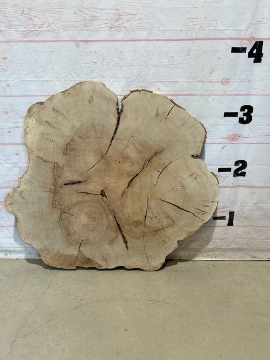 Live Edge Maple Cookie Sku#28704M