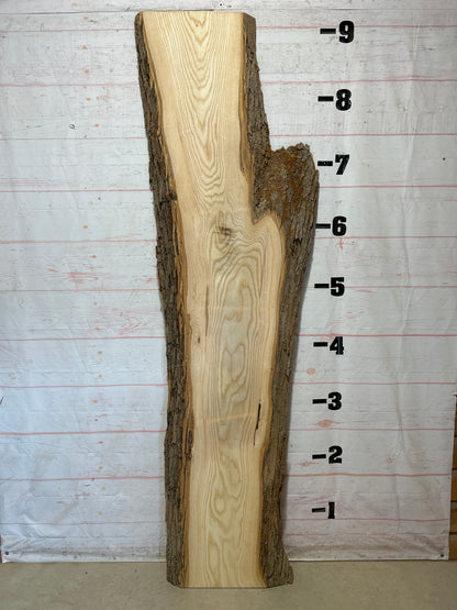 Live Edge Ash Sku#28309-52