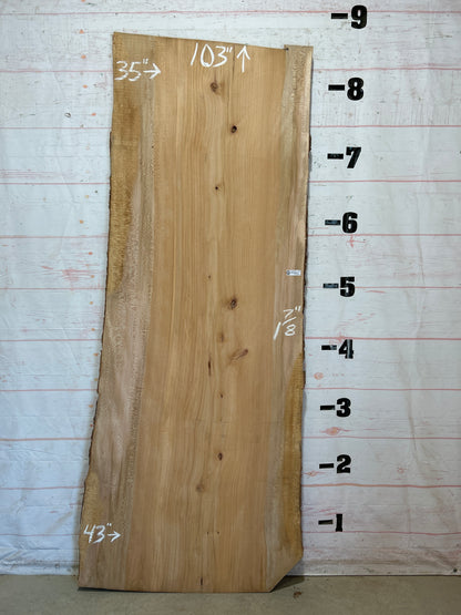 Live Edge Sycamore Sku#28457-56