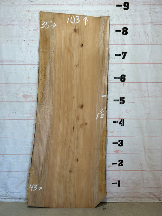 Live Edge Sycamore Sku#28457-56