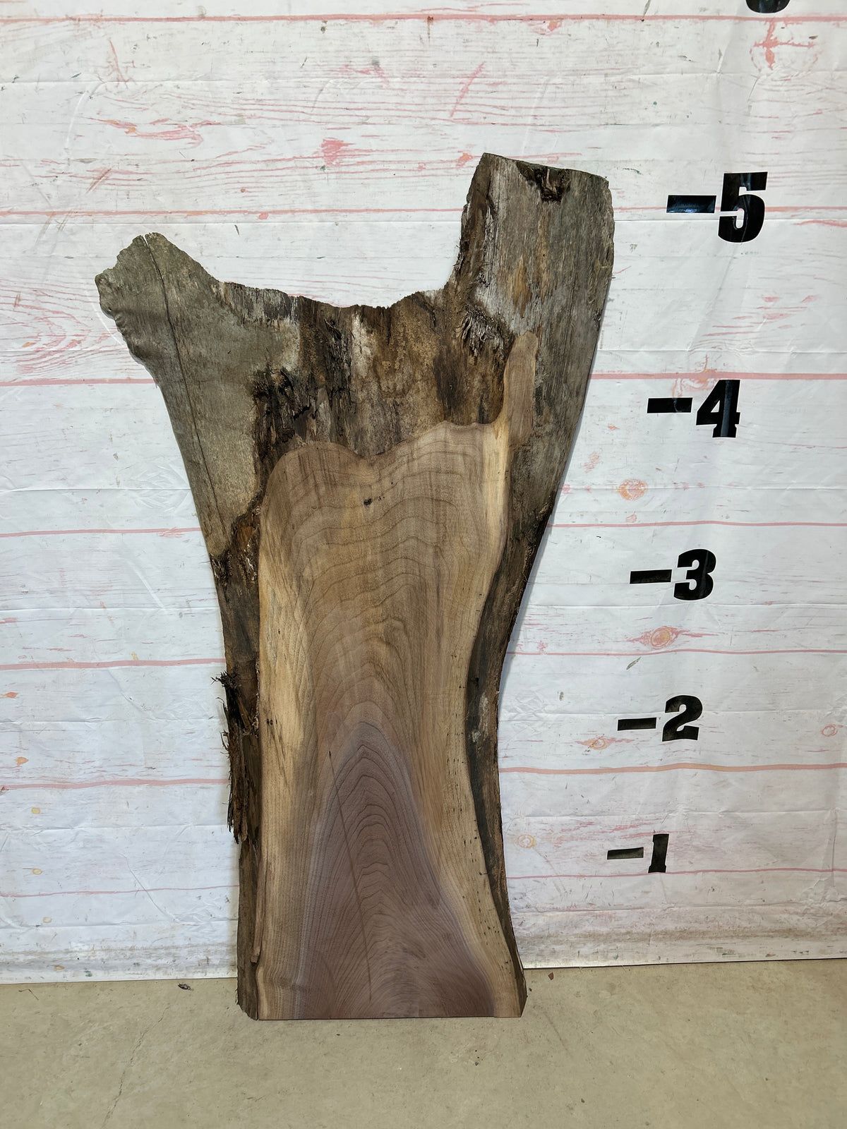Live Edge Walnut Sku#28725N-24