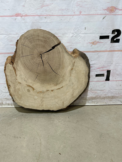 Live Edge White Oak Cookie Sku#28989M