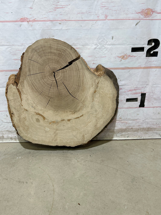 Live Edge White Oak Cookie Sku#28989M
