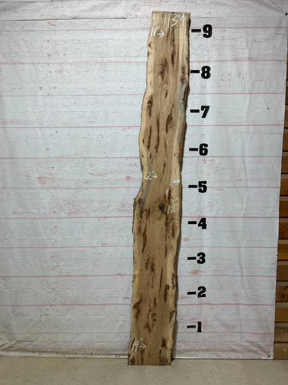Live Edge Hickory Sku#28235-15