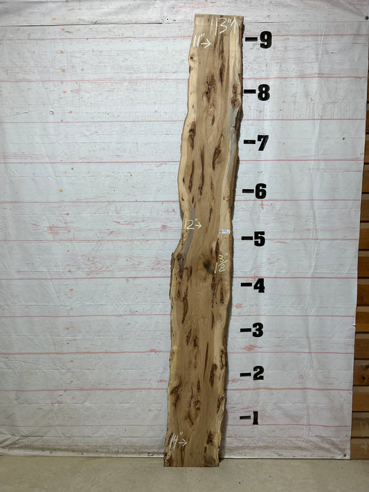 Live Edge Hickory Sku#28235-15