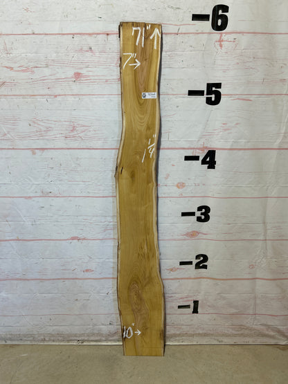 Live Edge Mulberry Sku#28354D-6