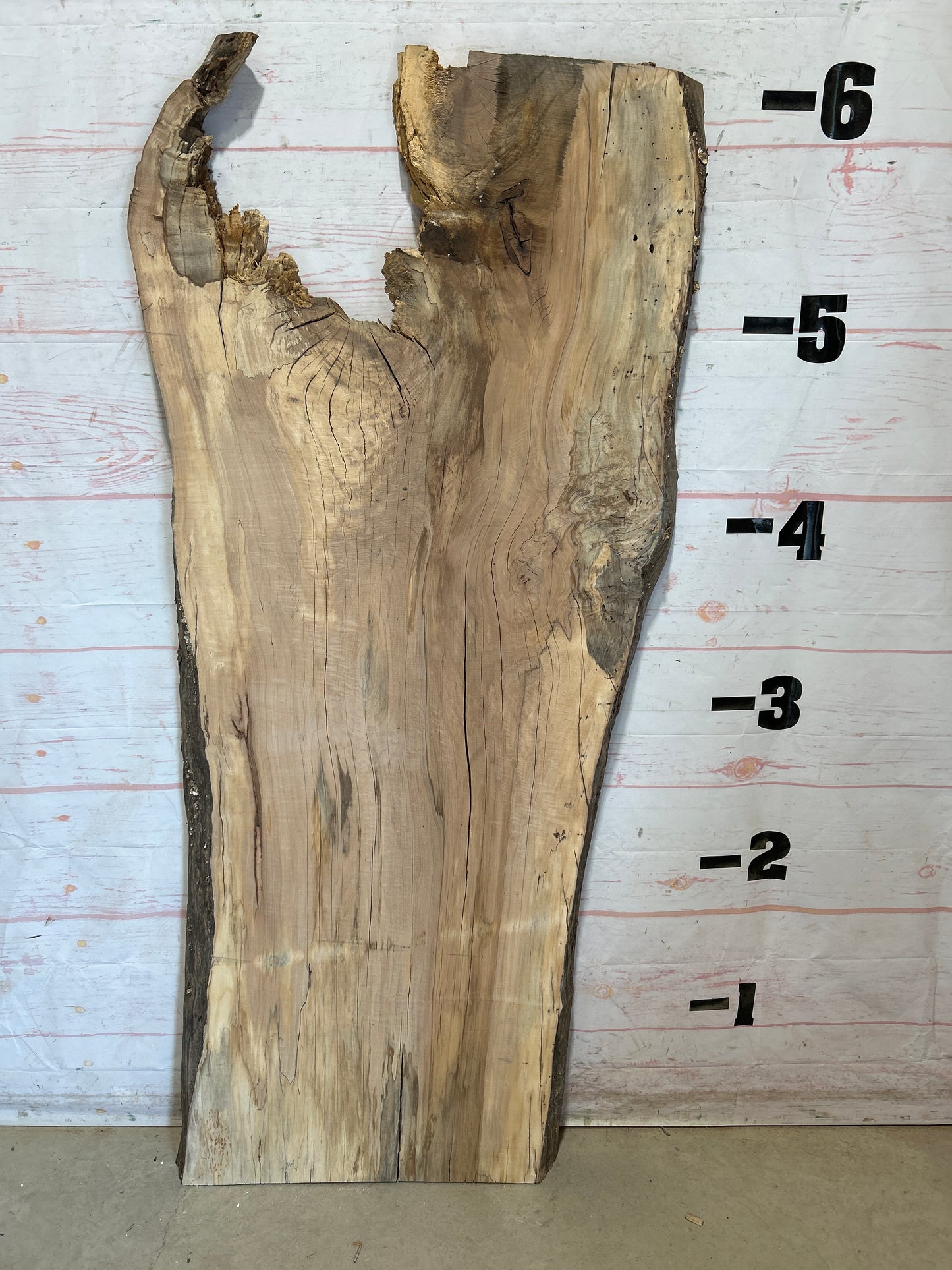 Live Edge Maple Sku#28328B-35