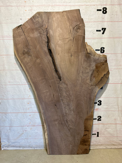 Live Edge Walnut Sku#28619-64