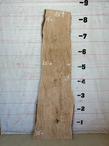 Live Edge Maple Sku#28497-46