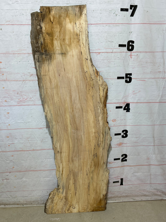 Live Edge Maple Sku#28310B-27
