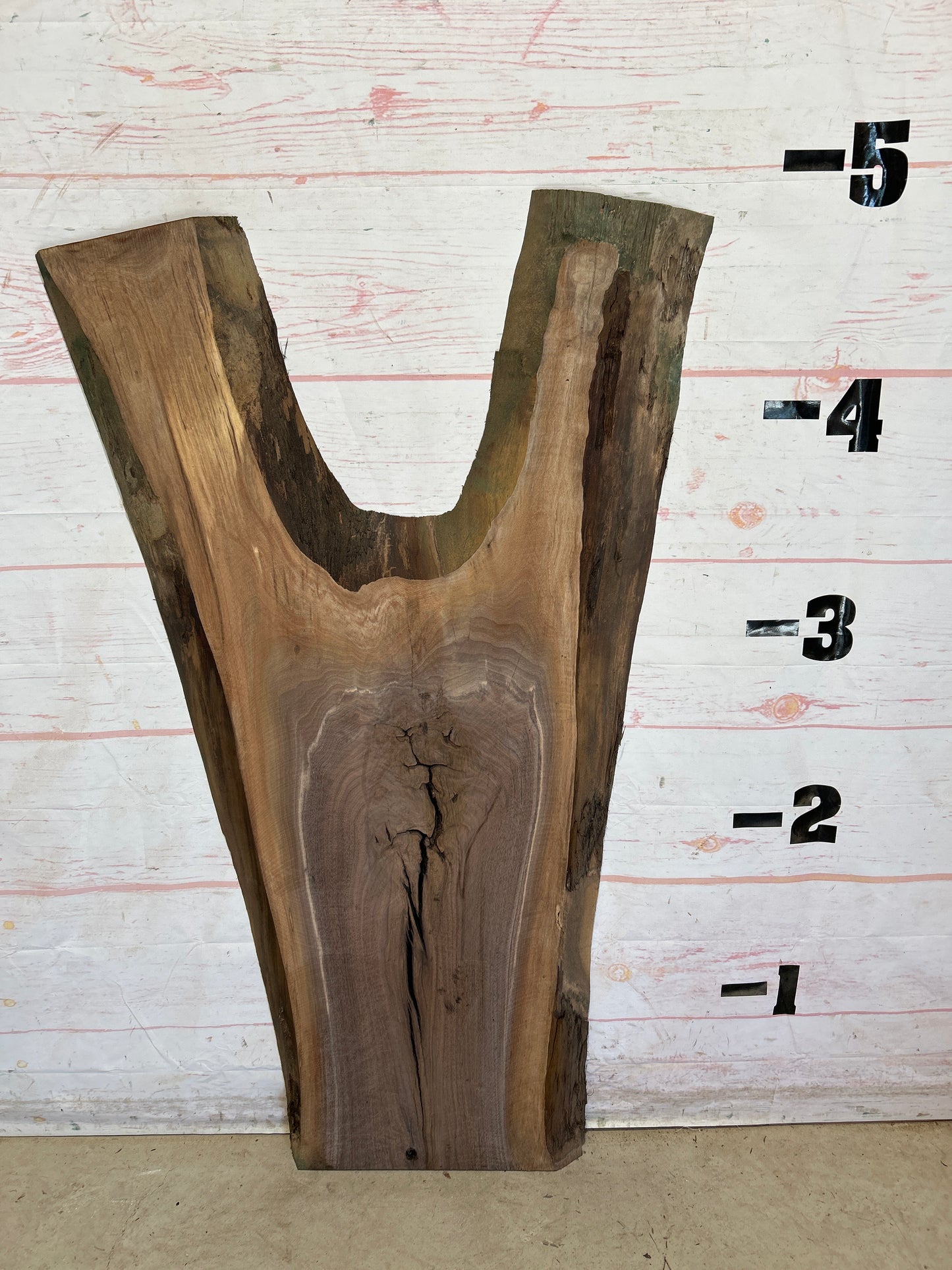 Live Edge Walnut Sku#28406N-21