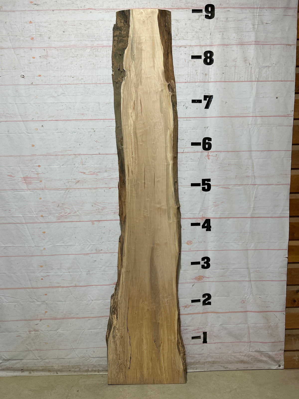 Live Edge Maple Sku#28935B-19