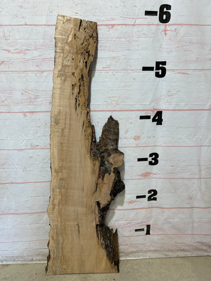 Live Edge Ambrosia Maple Sku#27271-18