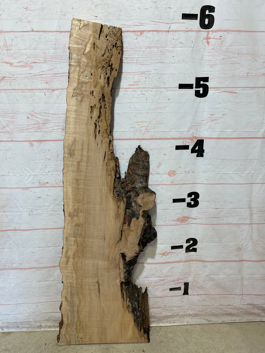 Live Edge Ambrosia Maple Sku#27271-18