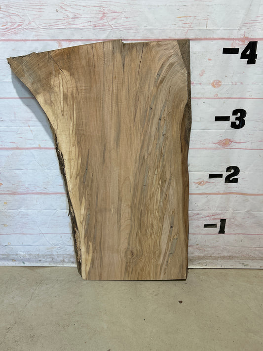 Live Edge Maple Sku#28250B-22