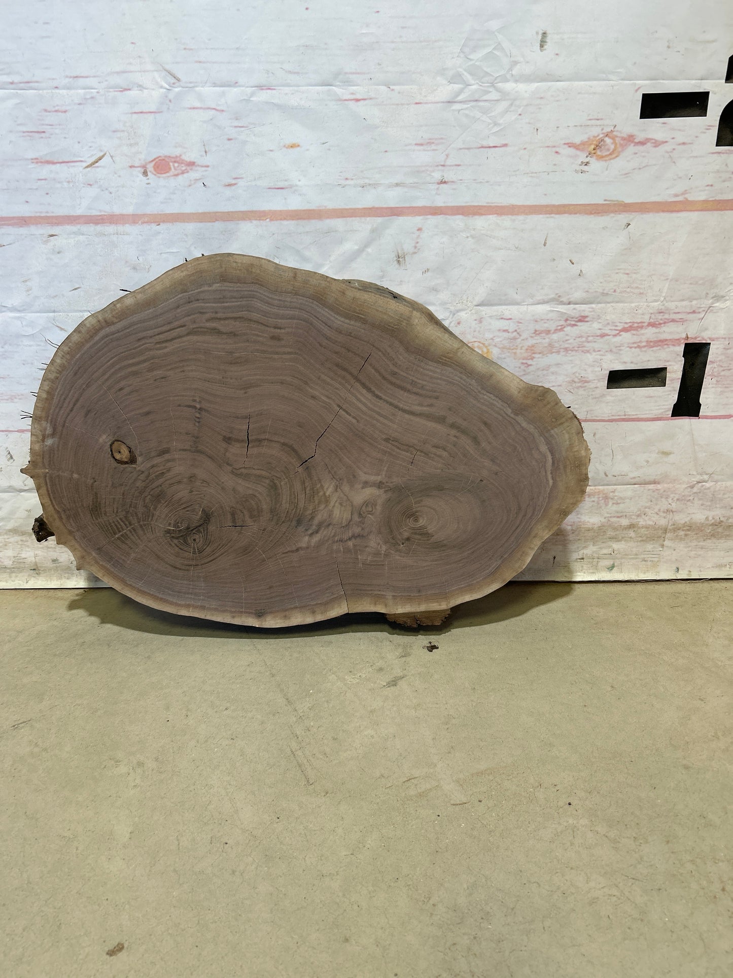 Live Edge Walnut Cookie Sku#27986M