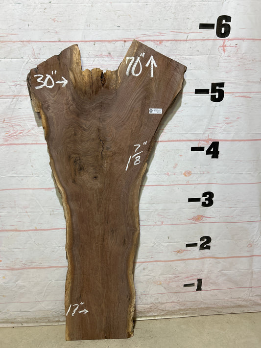 Live Edge Walnut Sku#27932G-23