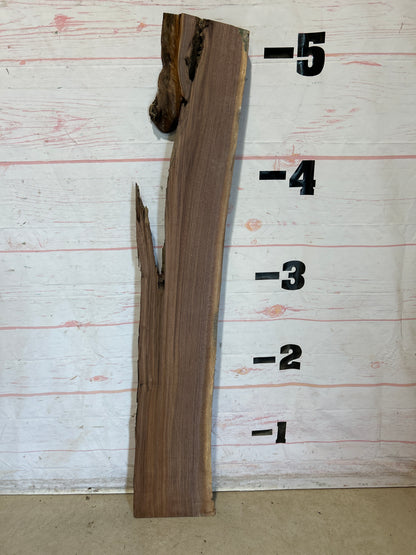 Live Edge Walnut Sku#28473G-8