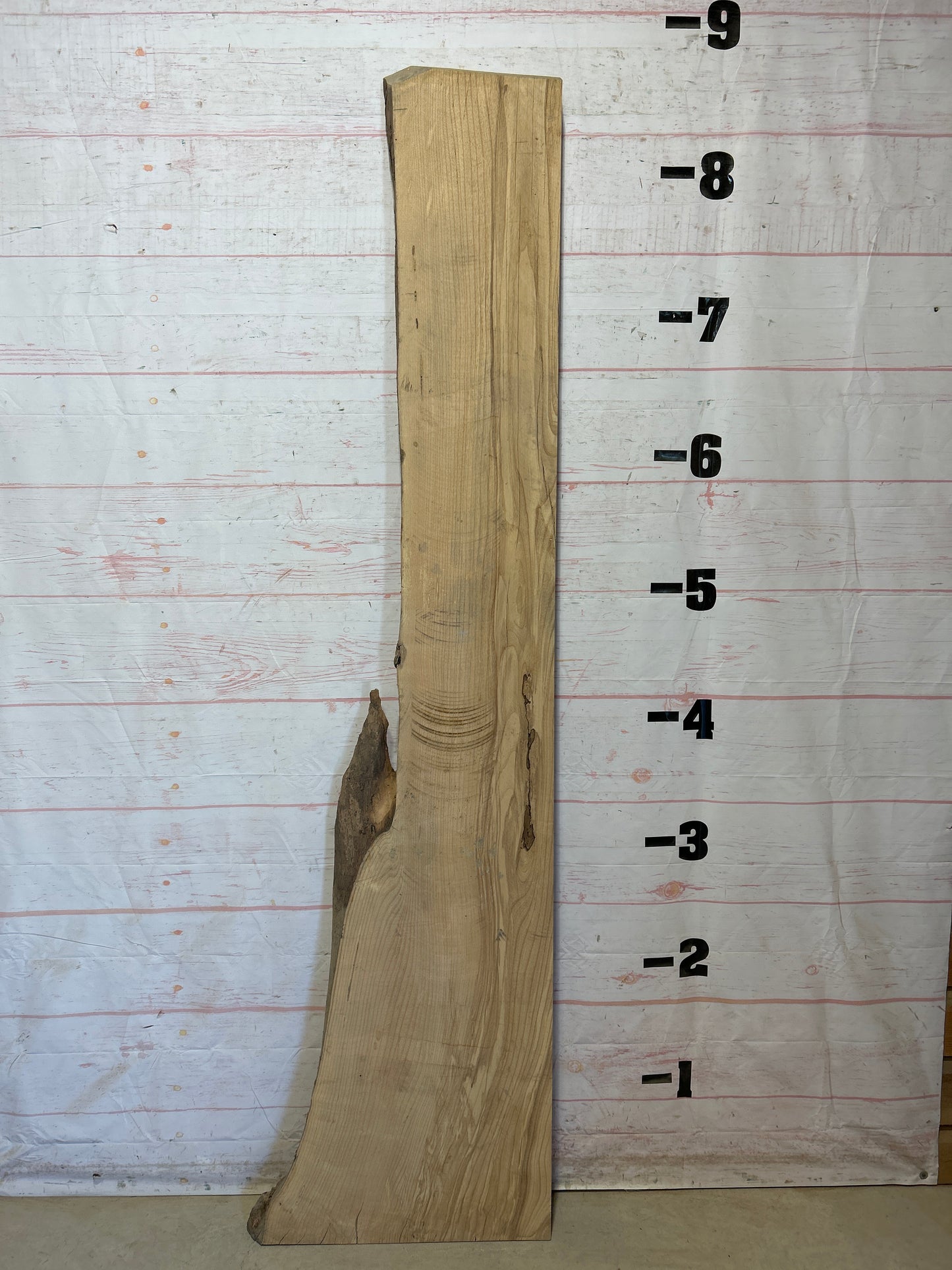 Live Edge Ash Sku#27825H-33