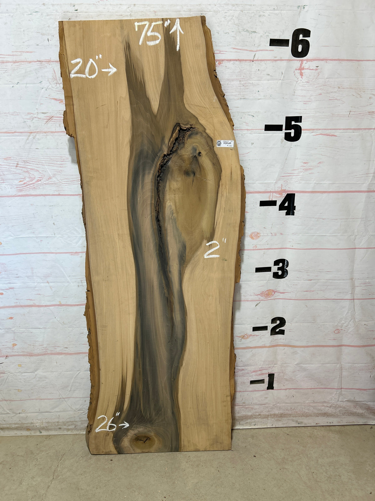 Live Edge Poplar Sku#28809M-24